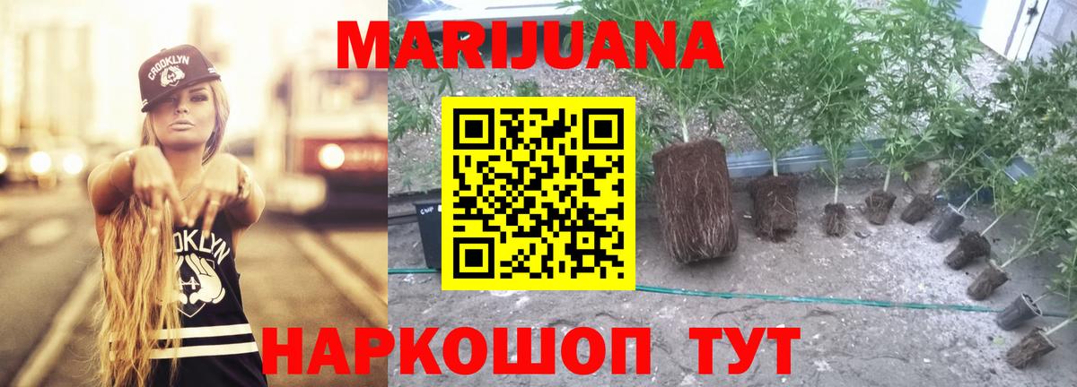 Бошки Шишки план  Бошки марихуана SATIVA & INDICA  Иваново  Вход с VPN 